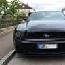 stang6t8coupe