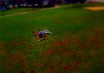 tiltshift Copter.jpg