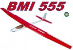 bmi555.jpg