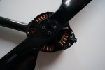 DSC00283.jpg